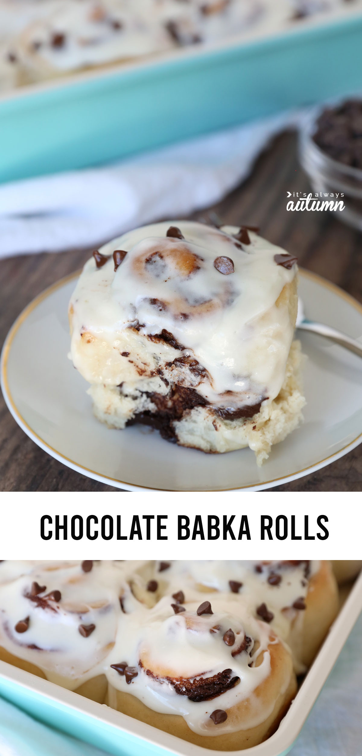 Chocolate babka roll on a plate; chocolate babka rolls in a blue 9x13 pan