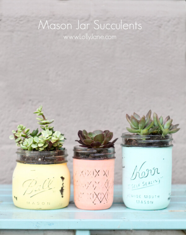 Succulents in mason jars that have been painted pastel colors