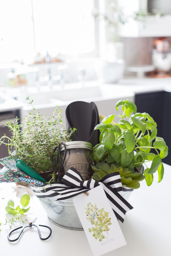 Gift basket with gardening items inside