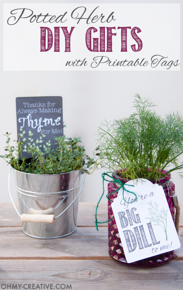 Potted herb DIY gifts; herbs in pots with gift tags