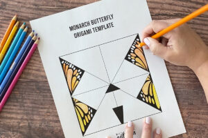 Hand coloring in a Monarch butterfly origami template with coloring pencils