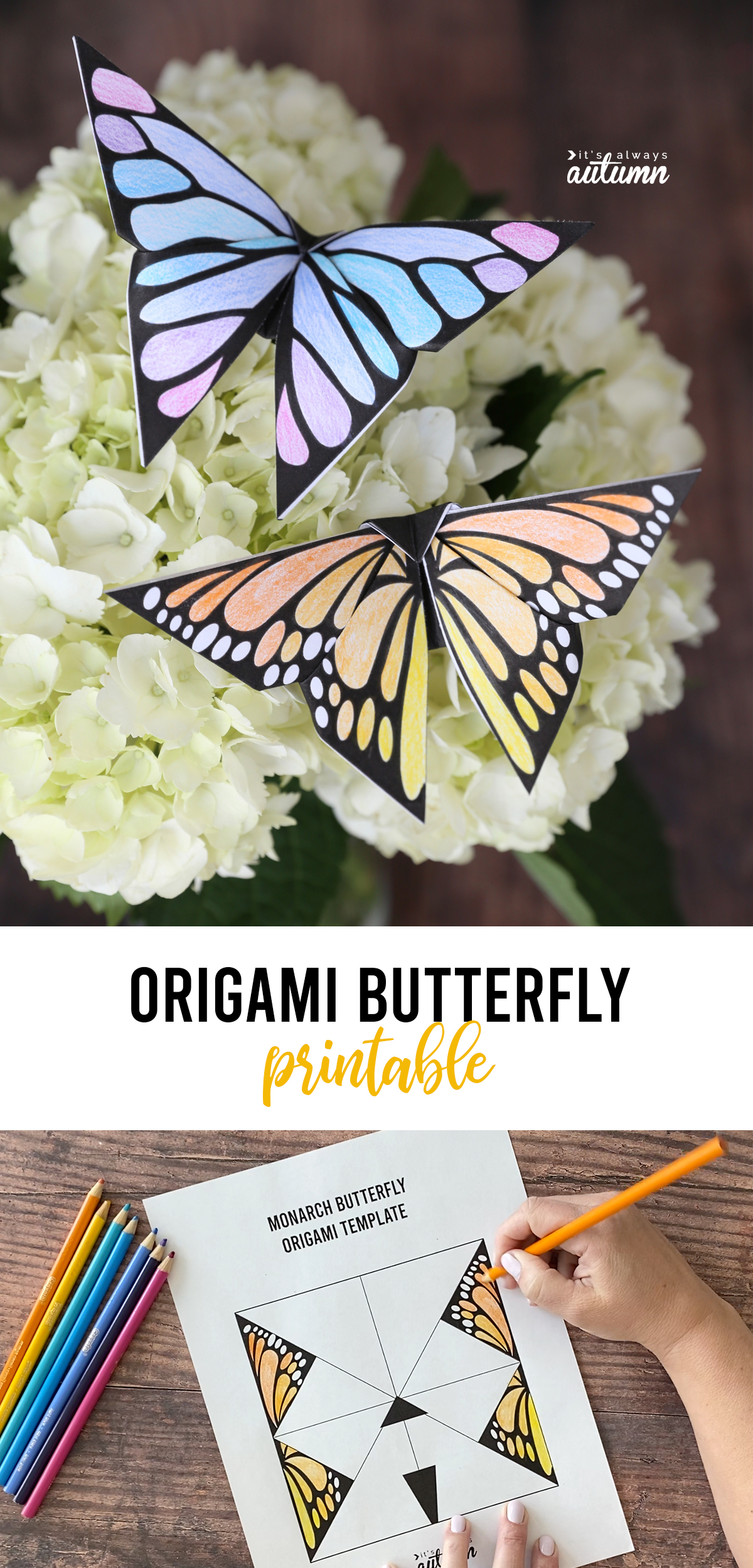 How To Make An Easy Origami Butterfly - The Printables Fairy