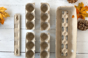 Cardboard egg carton cut into pieces