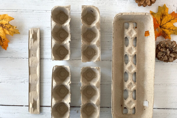 Cardboard egg carton cut into pieces