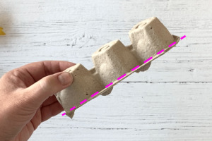 Quarter of an egg carton with dotted cut line across the bottom