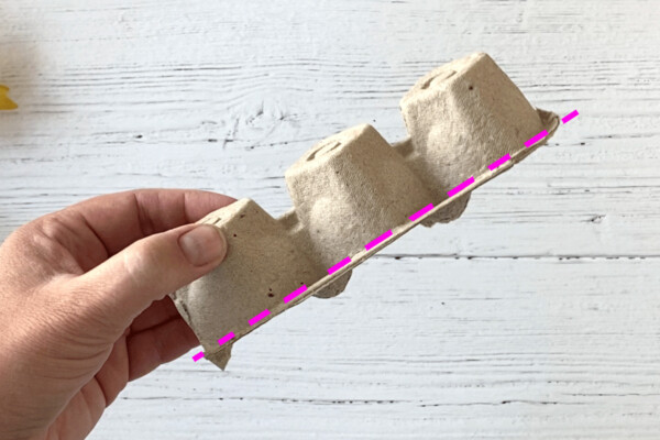 Quarter of an egg carton with dotted cut line across the bottom