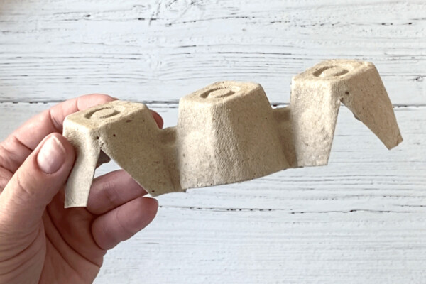 Egg carton cut into bat shape