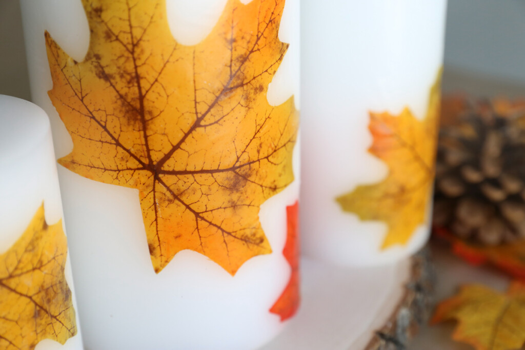 Closeup of all leaf candles