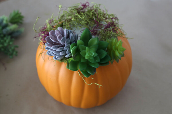 Faux succulents stuck into the floral foam in the pumpkin