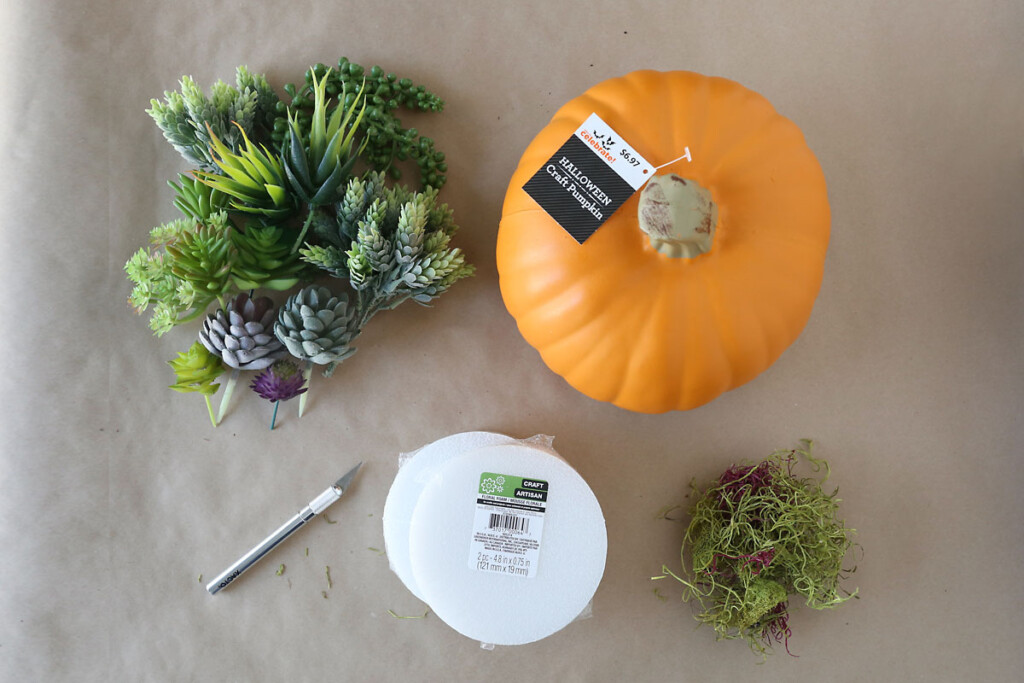 Supplies: faux succulents, faux pumpkin, exacto knife, floral foam discs, faux moss