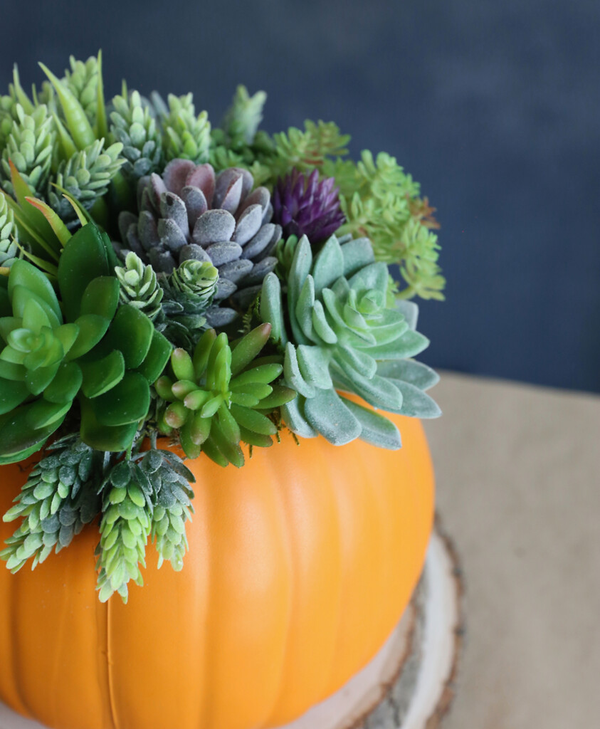 Faux pumpkin succulent planter