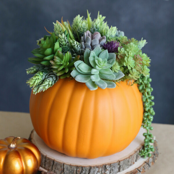 Pumpkin succulent planter centerpiece