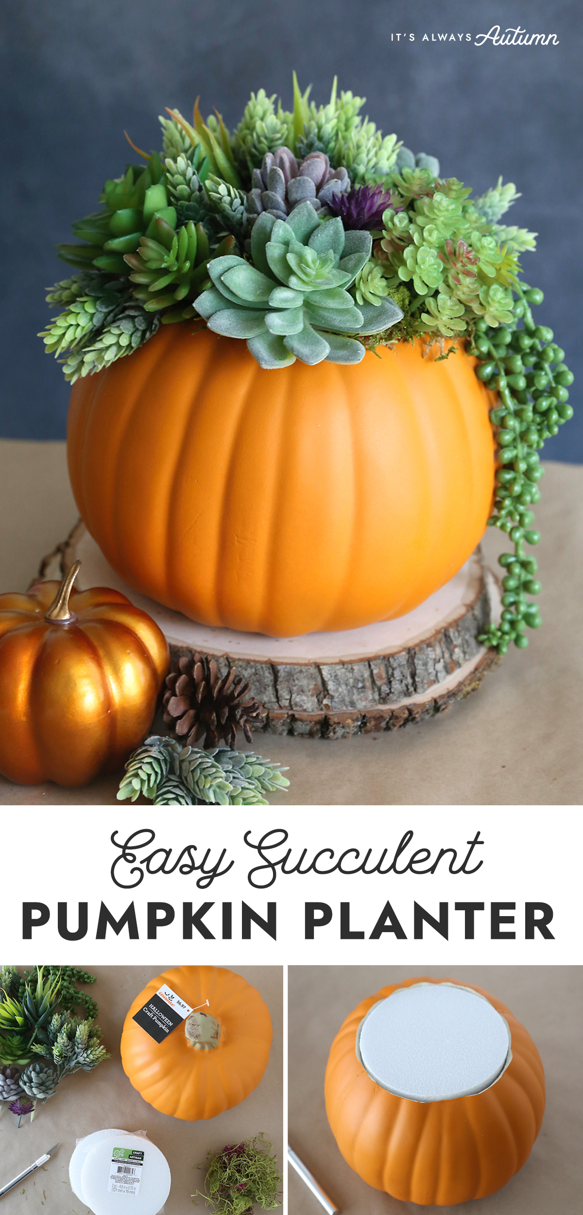 Easy Succulent Pumpkin Planter