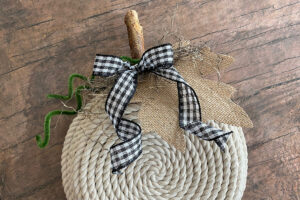 Rope pumpkin decorated with ribbon, burlap leaf, moss and curled pipe cleaner