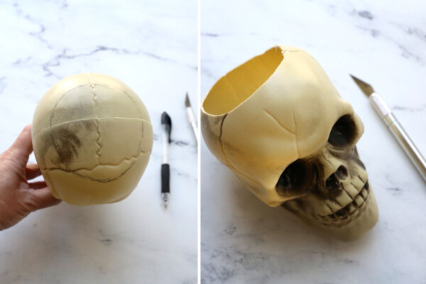 Cutting a hole in the top of the plastic skull