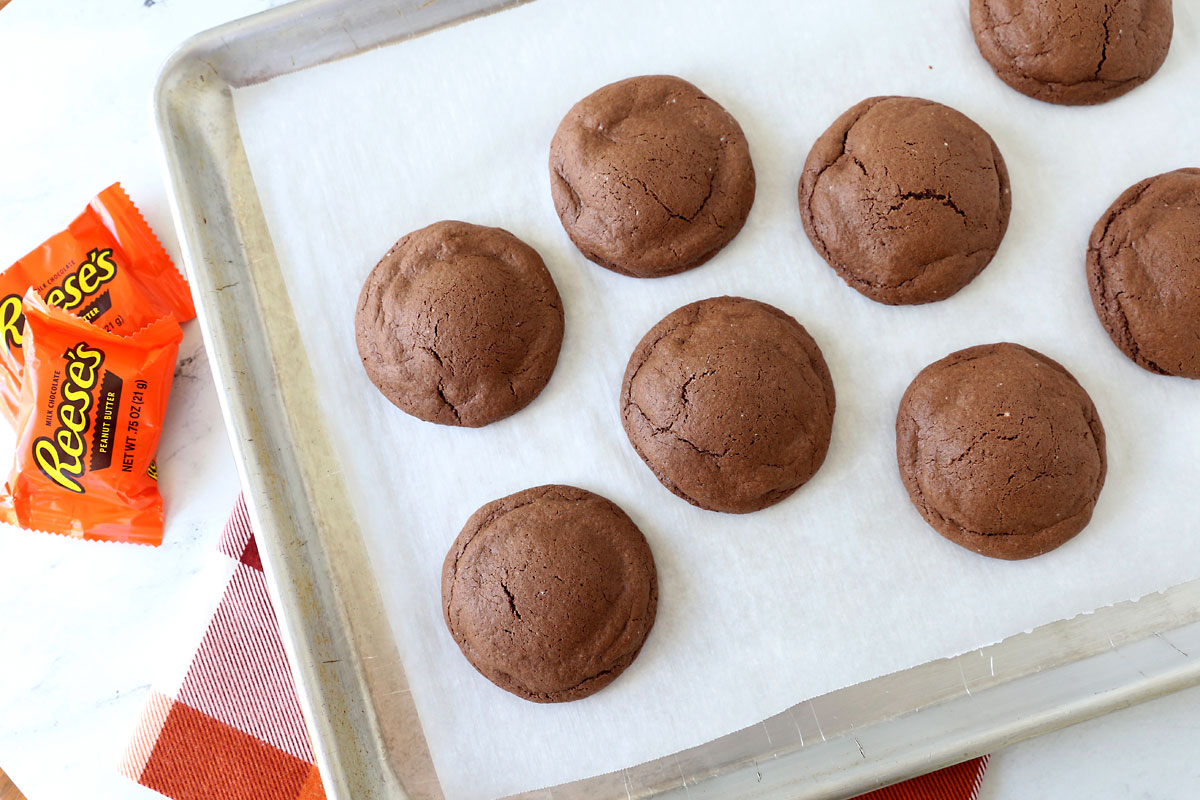 Baked chocolate cookies.