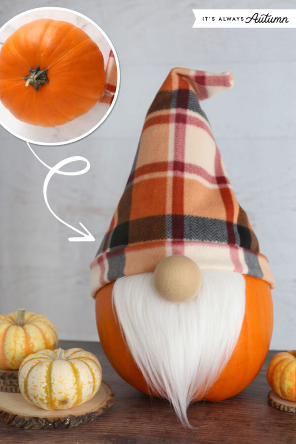 Decorate pumpkin as a gnome.