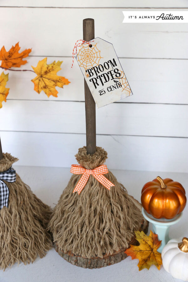 Toilet plunger witches broom.