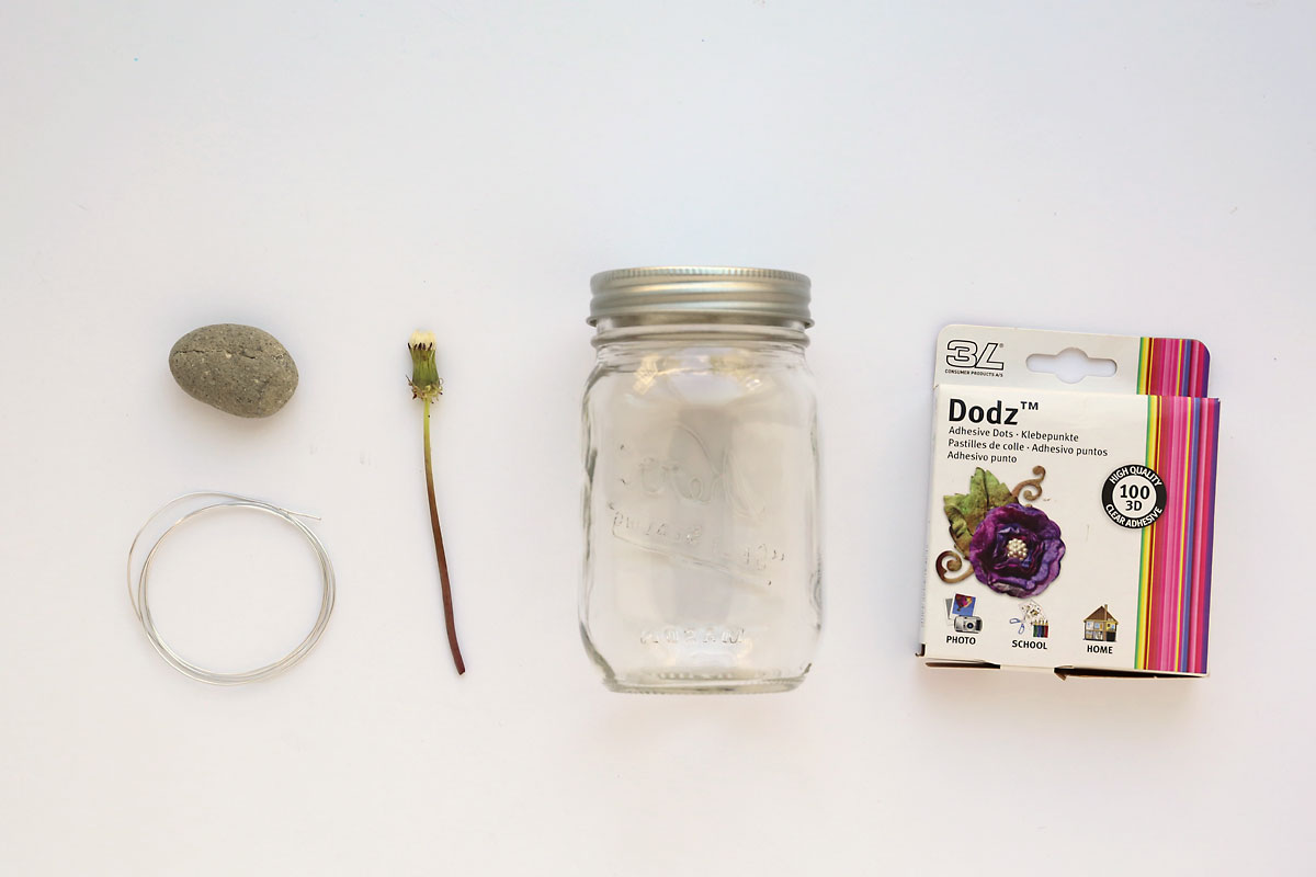Stone, wire, dandelion, jar, glue dots.