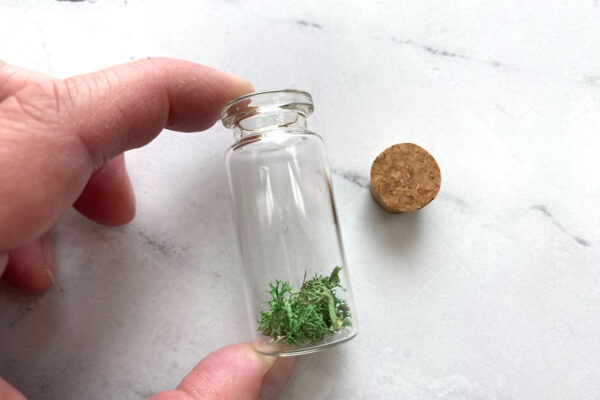 A little bit of moss in the bottom of a mini bottle.