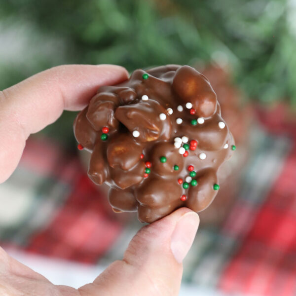 Hand holding a piece of chocolate candy.