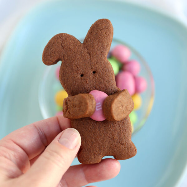 Chocolate bunny cookie hugging a peanut m&m.